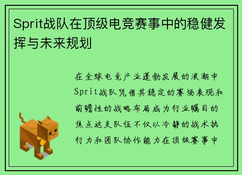 Sprit战队在顶级电竞赛事中的稳健发挥与未来规划