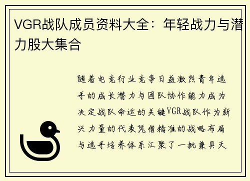 VGR战队成员资料大全：年轻战力与潜力股大集合