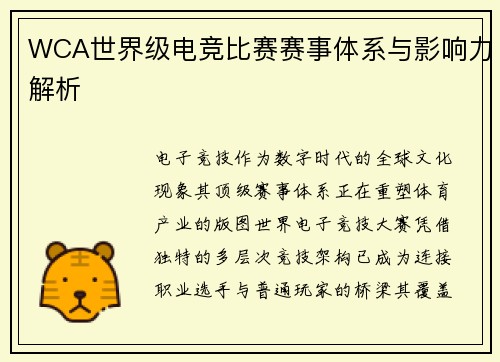 WCA世界级电竞比赛赛事体系与影响力解析